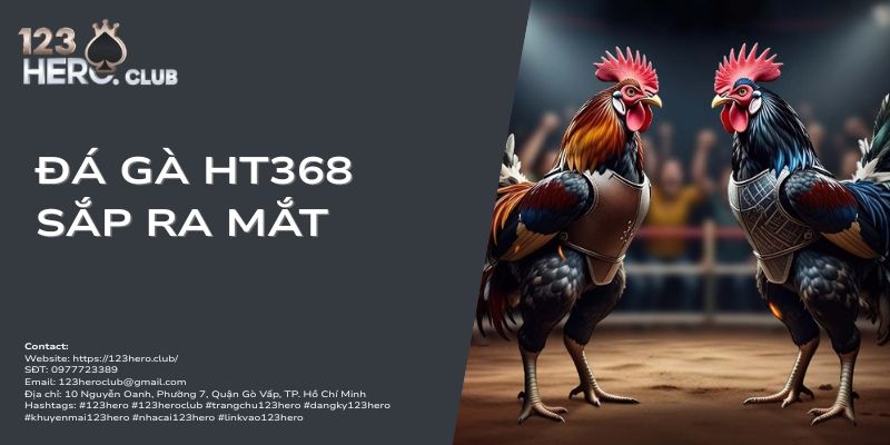đá gà ht368 sắp ra mắt